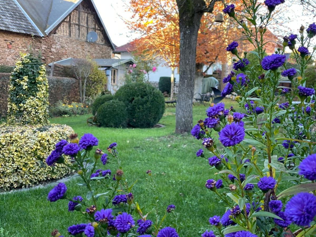 Haus-Hoeppches Blankenheim  Exterior foto